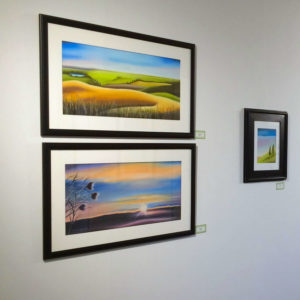 Arctic Cotton at Plum Gallery