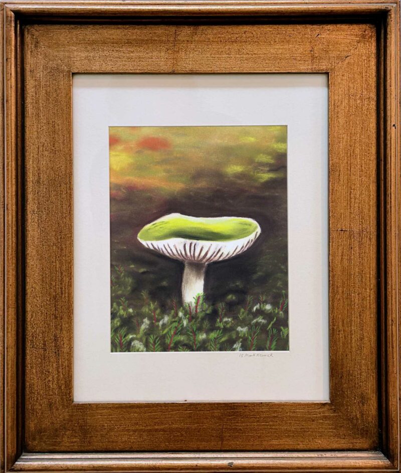 Mushroom Pastel Drawing