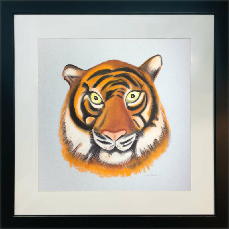 Tiger Pastel Drawing